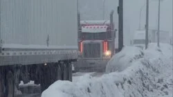 Suck It Up, Princess