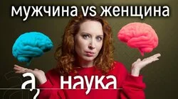 Мужской и женский мозг. Кто умнее, логичней, эмоциональней, агрессивней?
