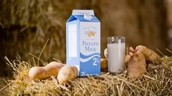 You Can't Handle the Truth (and Reconciliation)