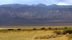 Deepfakes | 1,000 Children | Deep Springs