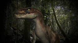 Florida Dinosaur and More