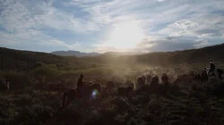 Robert Gates | The Green River Drift | Whither Ye Olde English Pub