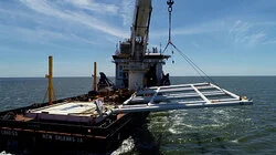 Missouri's New Gun Law | The Longest-Running Oil Spill | Carnegie Heroes