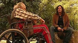 Pajarraca mal intencionada