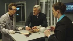 Темная лошадка