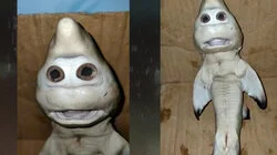 Mutant Mummy and Alien Monolith