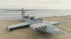 The Beached Leviathan