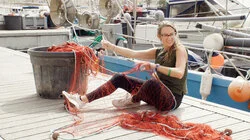 Gently Down the Stream