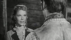 Incident of the Widowed Dove