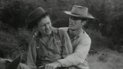 Incident at Paradise