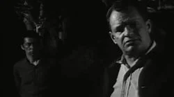 Incident of the Peyote Cup