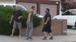 Stray Cats, Wild Neighbor