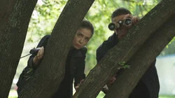 Трансплантация