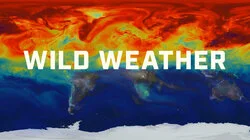 Wild Weather