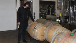 Petrified in Pahrump