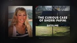 The Curious Case of Sherri Papini