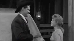 The Cats of Paradise