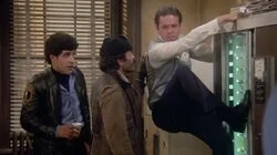 Your Kind, My Kind, Humankind