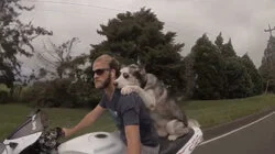 Houseguests From Hell