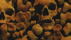 Curse of Catalina Island