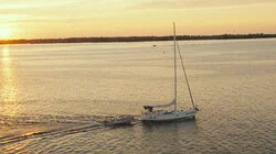 Never Missed a Pigeon