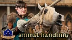When Your Horse is a Druid (Animal Handling)