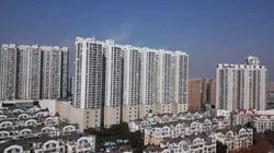 Showdown in Swim Shorts