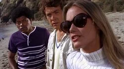 The Teeth of the Barracuda