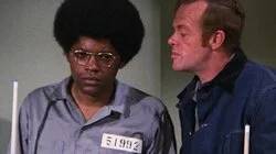 Peace Now - Arly Blau