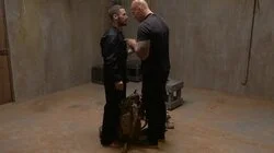 Interrogation
