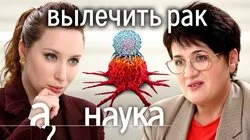 Провокаторы рака: 5G, обида, солнце, ожирение, мегаполисы, уровень жизни?
