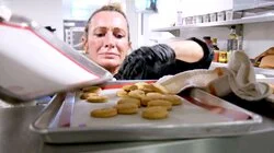 Top Chef Is No Picnic