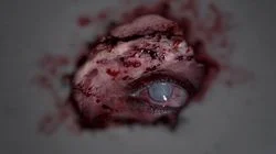 Anonymous Was a Woman