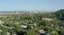 My Way or the Driveway