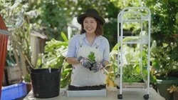 Episode 14 - Eucalypt, Herbs, Restore, Mosaic, Winter & Bee