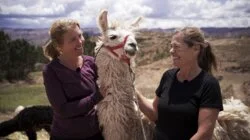 Andet par forlader konkurrencen