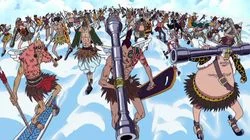 Light the Fire of Shandora! Wyper the Warrior