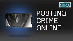 Posting Crime Online
