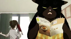 A Masterful Cat Is Good at Giving Care