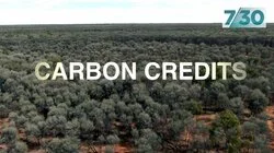 Carbon Credits