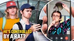 He's Controlled By a Rat?