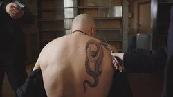 Лев против змеи