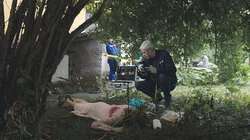 Многовато трупов