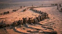 When Whales Could Walk