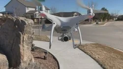 Who Stole My Pickleball?