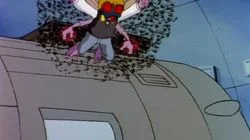 Landlord of the Flies