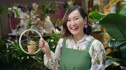 Episode 38 - Christmas; Holiday; Wreaths; Beetle; Berries