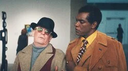 The Secret Inner Lives of Swans