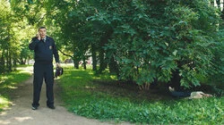 Счастливое будущее