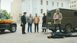 Банда кроликов